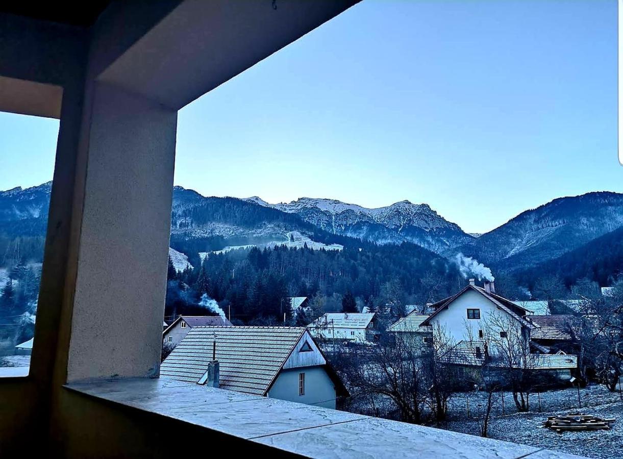 Casa Daniel Hotel Törcsvár Kültér fotó